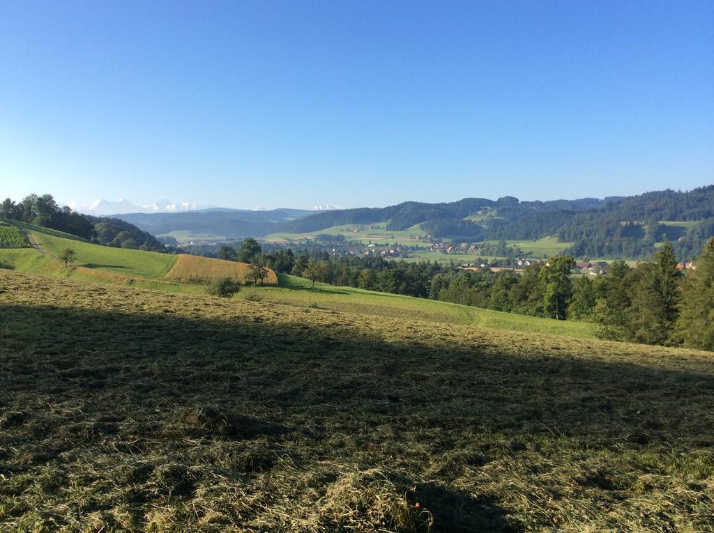 Landcafe Mit Mini Hotel Burgdorf Buitenkant foto