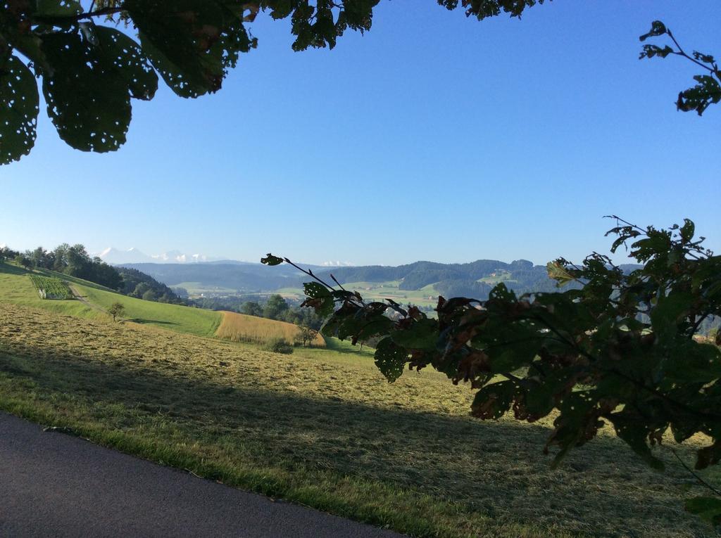 Landcafe Mit Mini Hotel Burgdorf Buitenkant foto